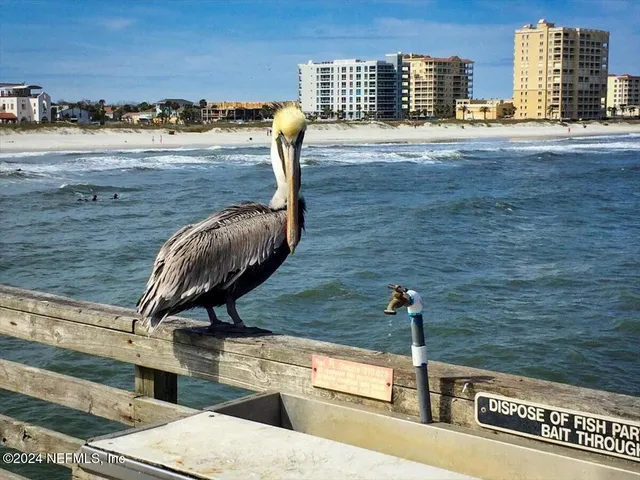 $6,400 | 1207 2nd Street South, Unit 1207, Jacksonville Beach, FL 32250