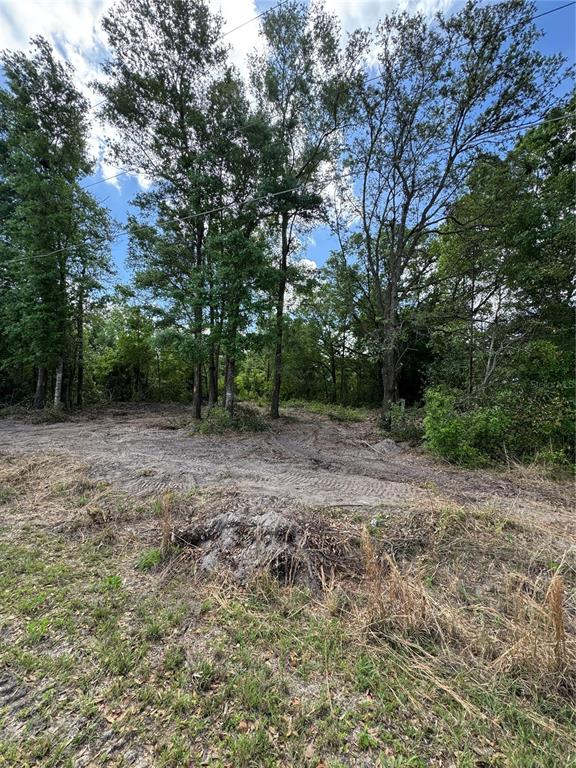 Northwest 4th Street Ocala, FL 34482 - Photo 2 of 14