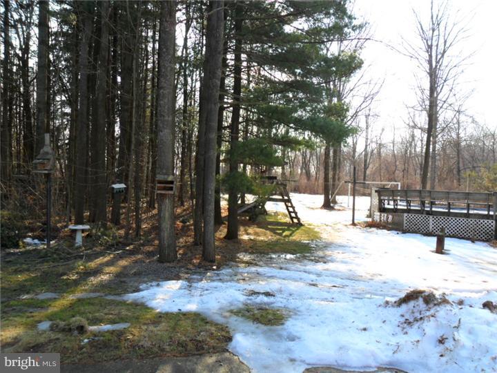 74 West Seven Stars Road Spring City, PA 19475 - Photo 15 of 21 Back Yard
