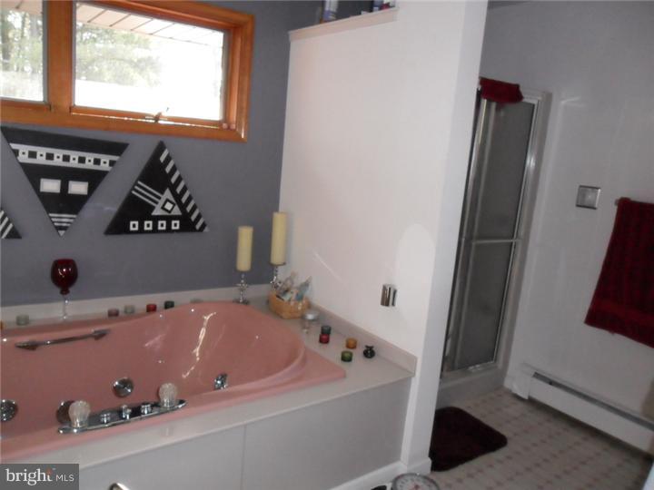 74 West Seven Stars Road Spring City, PA 19475 - Photo 20 of 21 Master Bathroom