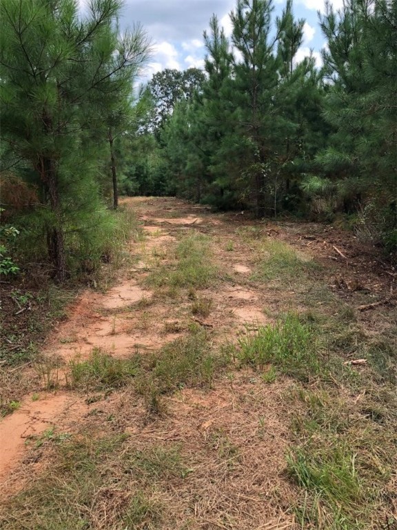 445 Fred Bradford Road Starr, SC 29684 - Photo 1 of 4 Gallery Image 1
