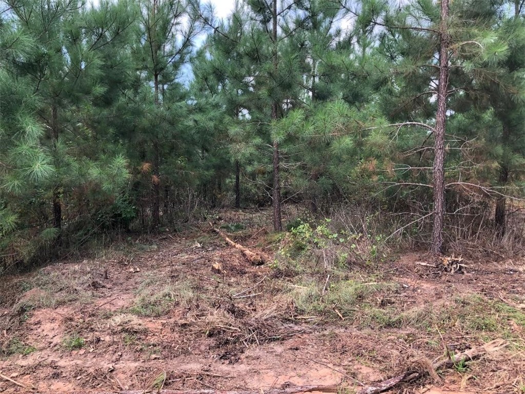 445 Fred Bradford Road Starr, SC 29684 - Photo 2 of 4 Gallery Image 2