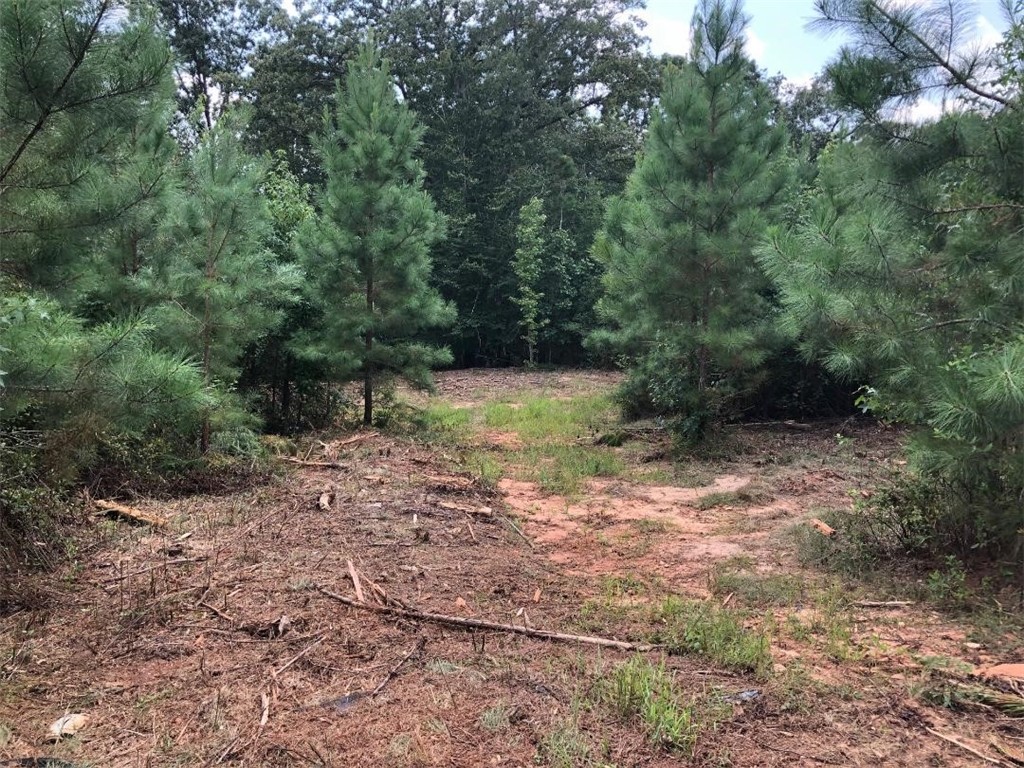 445 Fred Bradford Road Starr, SC 29684 - Photo 3 of 4 Gallery Image 3
