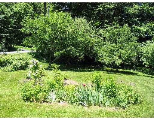 245 Chesterfield Road Westhampton, MA 01027 - Photo 13 of 14 a view of a garden