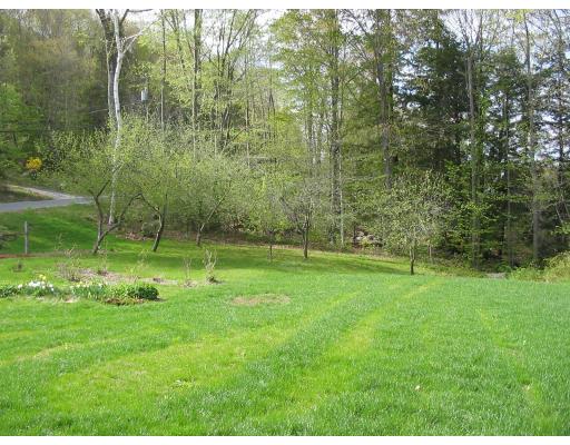 245 Chesterfield Road Westhampton, MA 01027 - Photo 3 of 14 a view of a green field