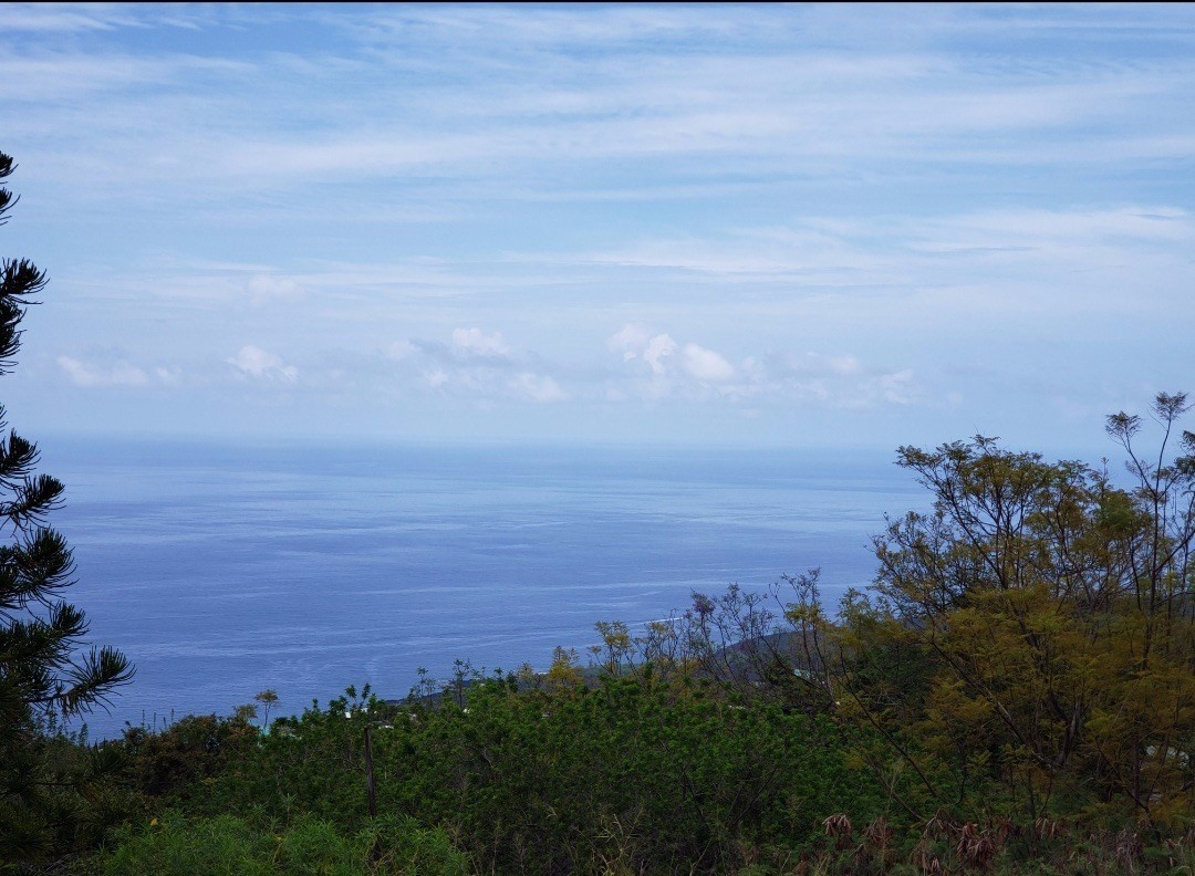 18 Lehua Road Captain Cook, HI 96704 - Photo 2 of 6 a view of a lake and mountain in the back