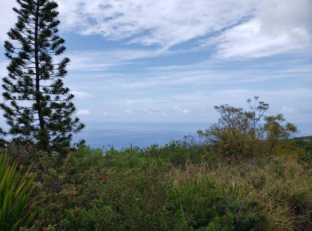 18 Lehua Road Captain Cook, HI 96704 - Photo 3 of 6 view of a bunch of trees