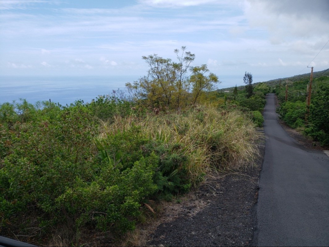 18 Lehua Road Captain Cook, HI 96704 - Photo 6 of 6 a view of a bunch of trees