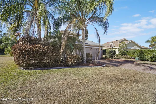 a view of a yard with palm tree