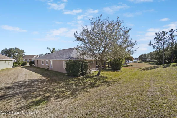 a view of road with large trees
