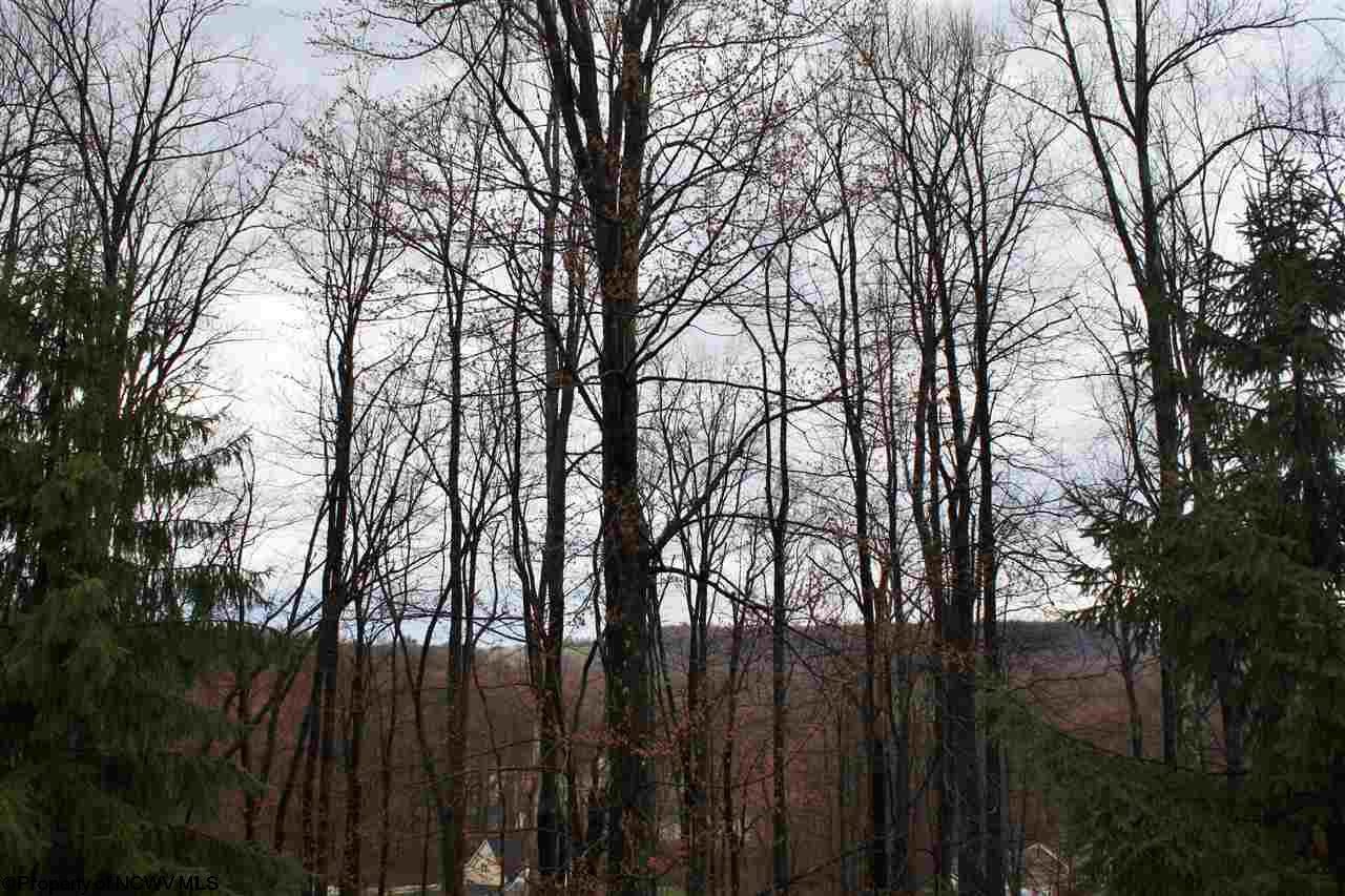 204 Timber Ridge Drive Morgantown, WV 26508 - Photo 17 of 20 Gallery Image 17