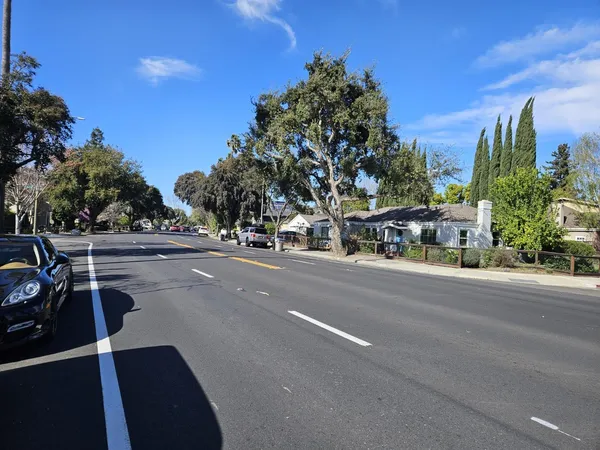 a view of a city street with tall trees