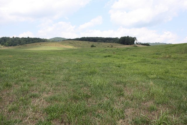 Tbd Reedy Creek Road Bristol, VA 24202 - Photo 1 of 11 Gallery Image 1