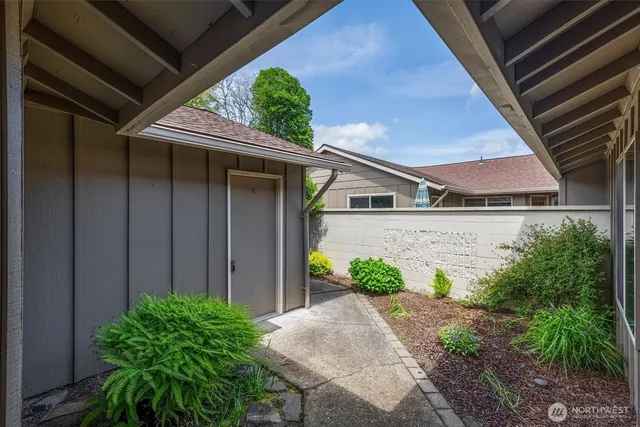 a view of a backyard with plants