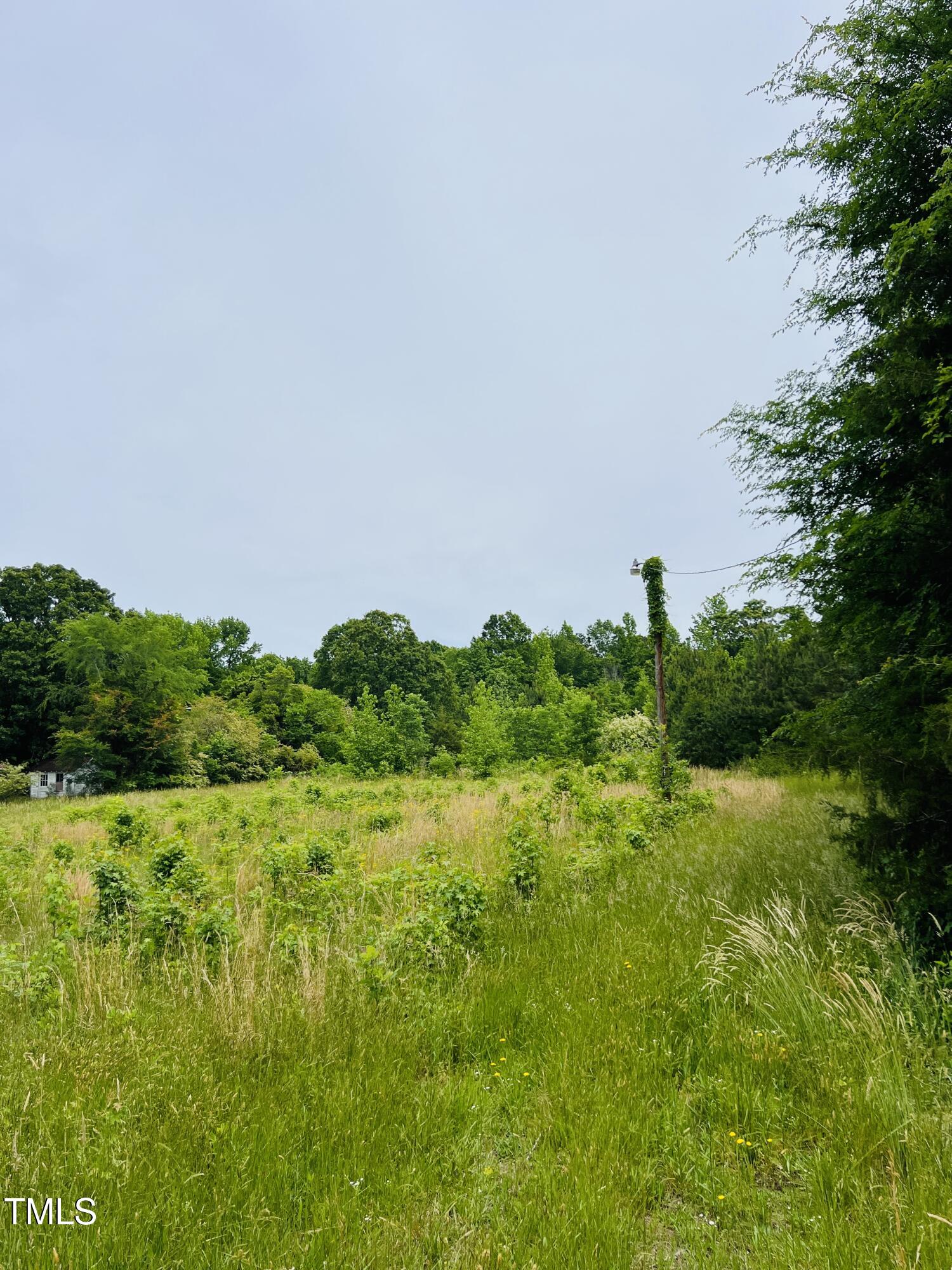2007 Miles Chapel Road Mebane, NC 27302 - Photo 7 of 8 31728_Image_7