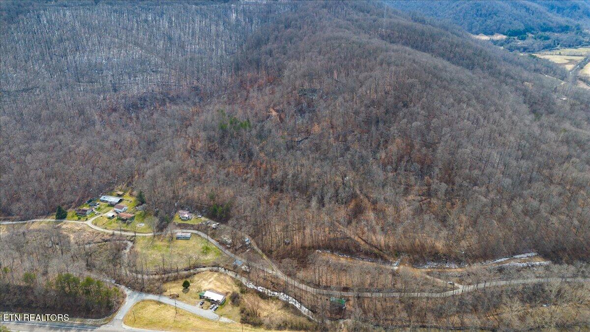 St Fork Road Pioneer, TN 37847 - Photo 12 of 18 12-Straight Fork Rd