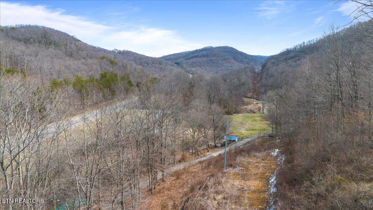 St Fork Road Pioneer, TN 37847 - Photo 16 of 18 16-Straight Fork Rd