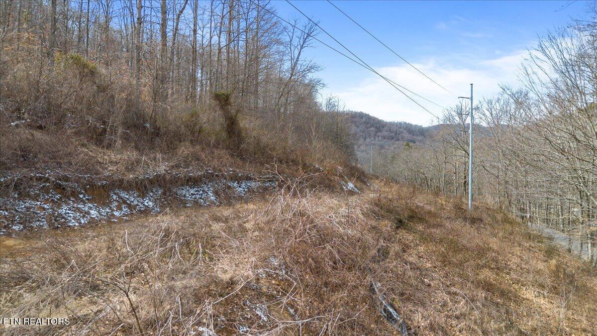 St Fork Road Pioneer, TN 37847 - Photo 17 of 18 17-Straight Fork Rd