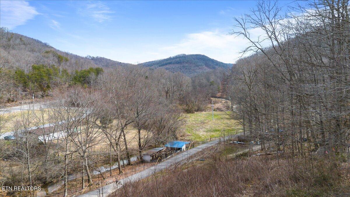 St Fork Road Pioneer, TN 37847 - Photo 2 of 18 02-Straight Fork Rd