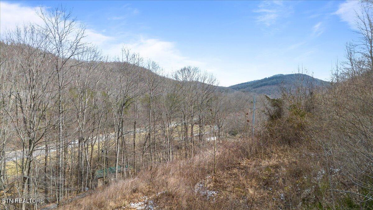 St Fork Road Pioneer, TN 37847 - Photo 3 of 18 03-Straight Fork Rd