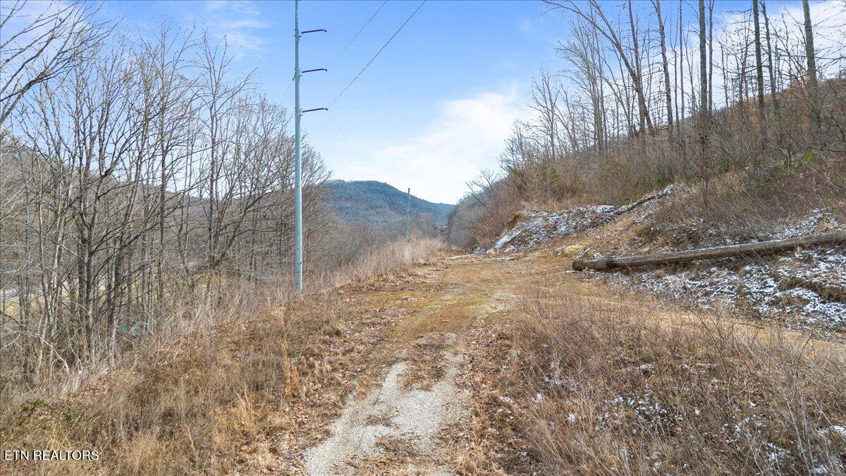 St Fork Road Pioneer, TN 37847 - Photo 6 of 18 06-Straight Fork Rd