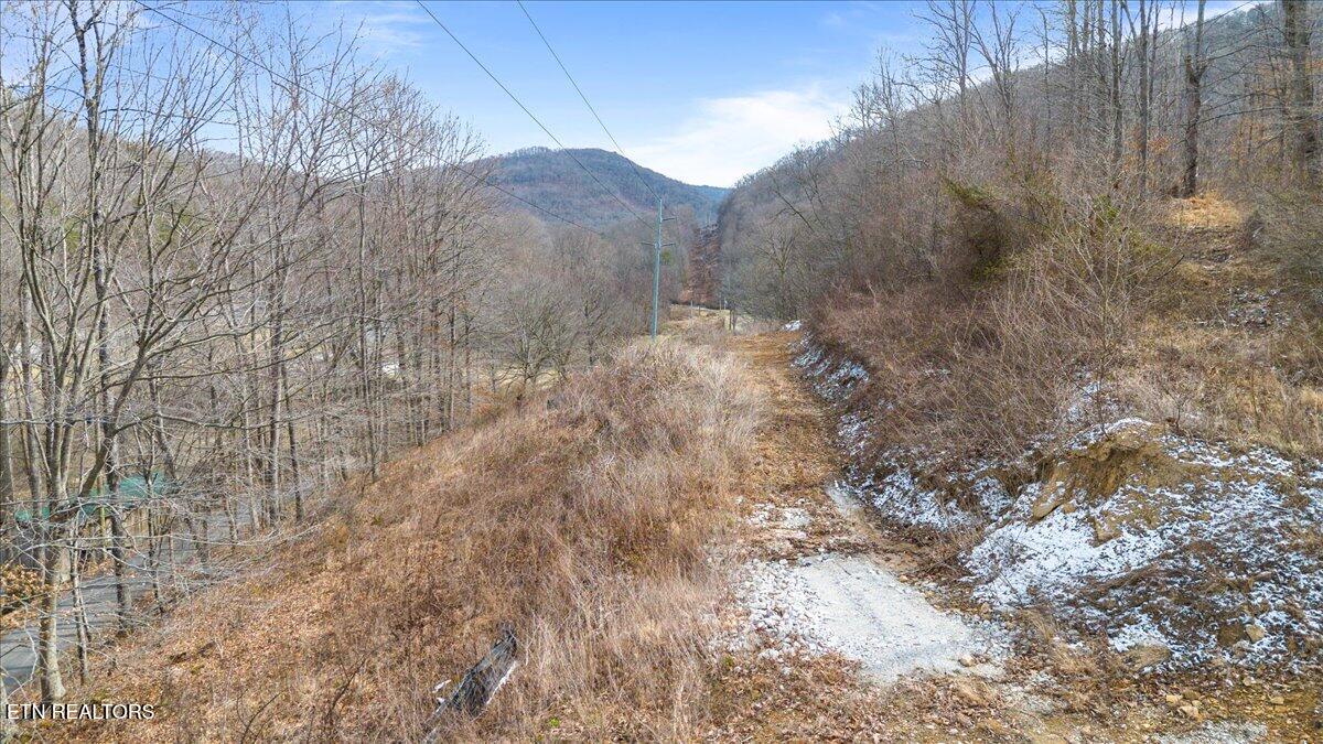 St Fork Road Pioneer, TN 37847 - Photo 7 of 18 07-Straight Fork Rd