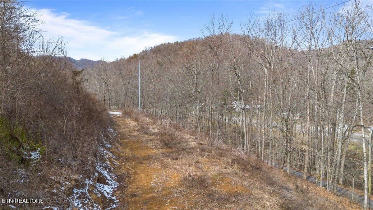St Fork Road Pioneer, TN 37847 - Photo 8 of 18 08-Straight Fork Rd