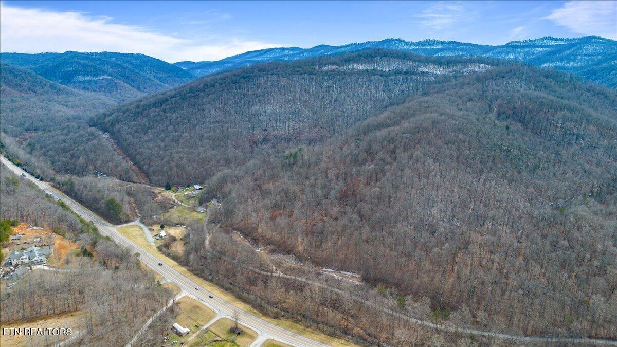 St Fork Road Pioneer, TN 37847 - Photo 9 of 18 09-Straight Fork Rd