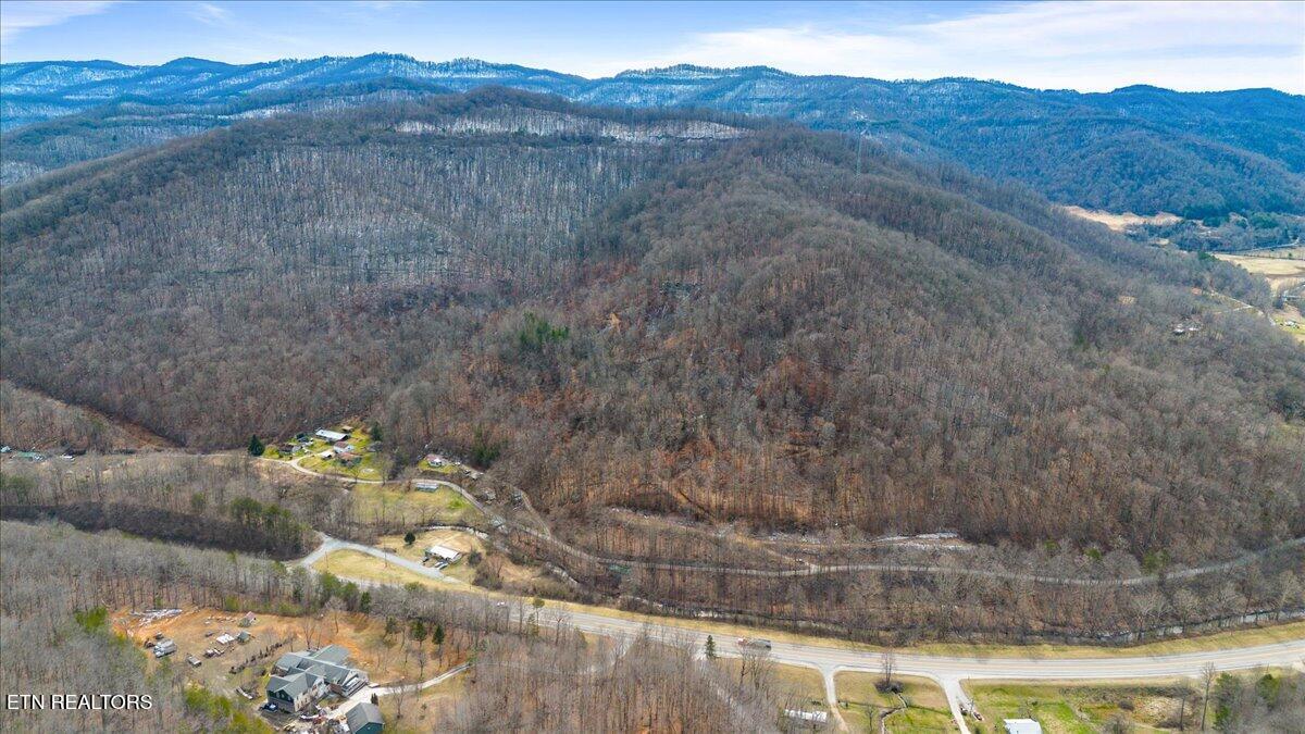 St Fork Road Pioneer, TN 37847 - Photo 10 of 18 10-Straight Fork Rd