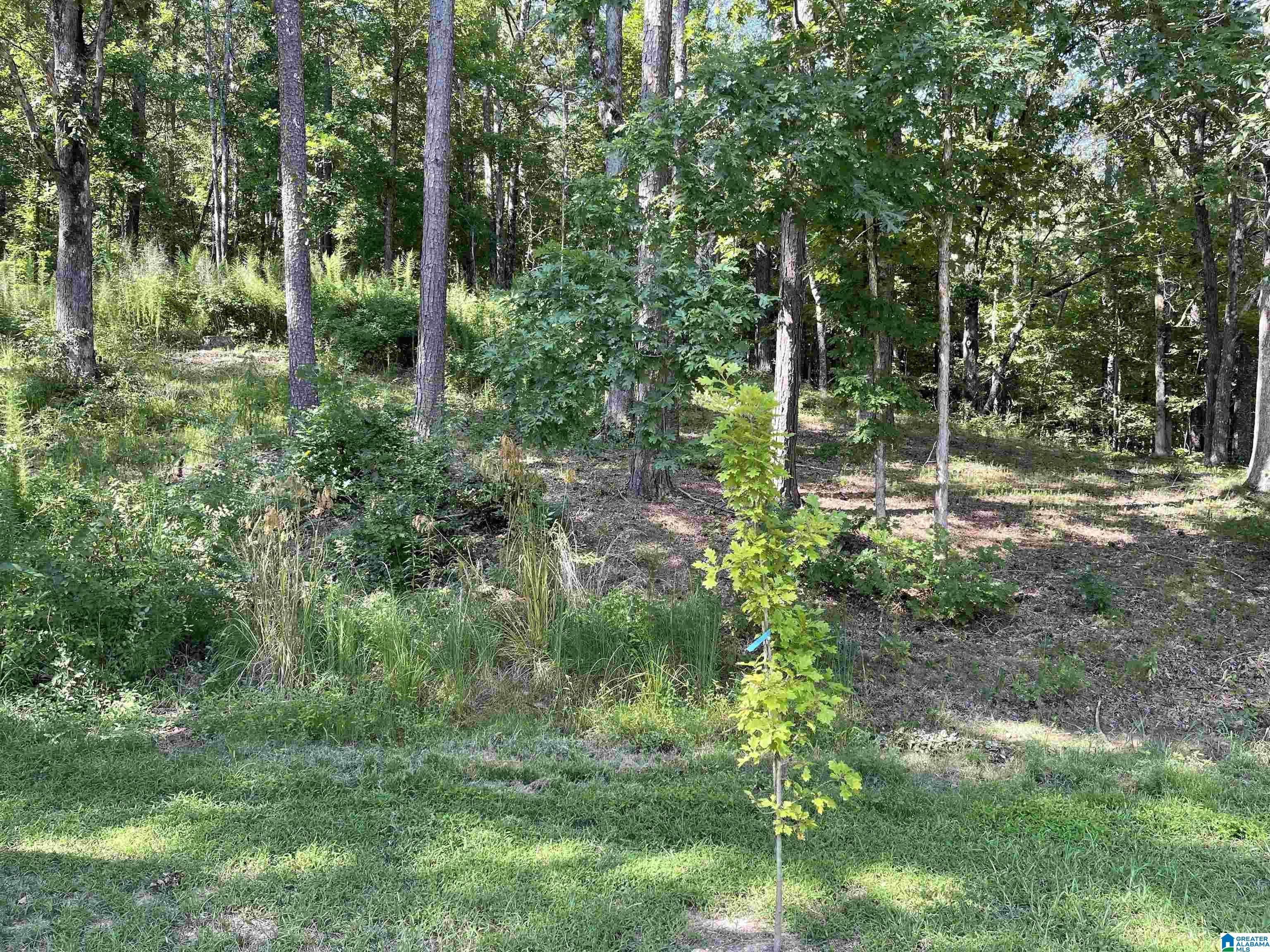 1220 Summerall Gate Road Anniston, AL 36205 - Photo 37 of 46