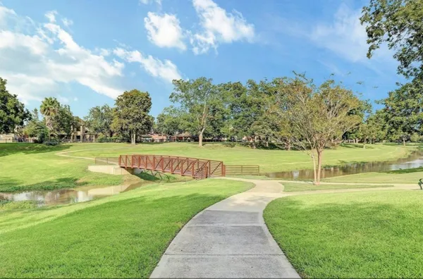 a view of a park with large trees