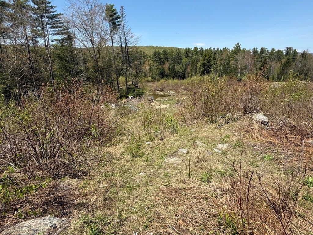118 Nh Route Canaan, NH 03741 - Photo 49 of 57