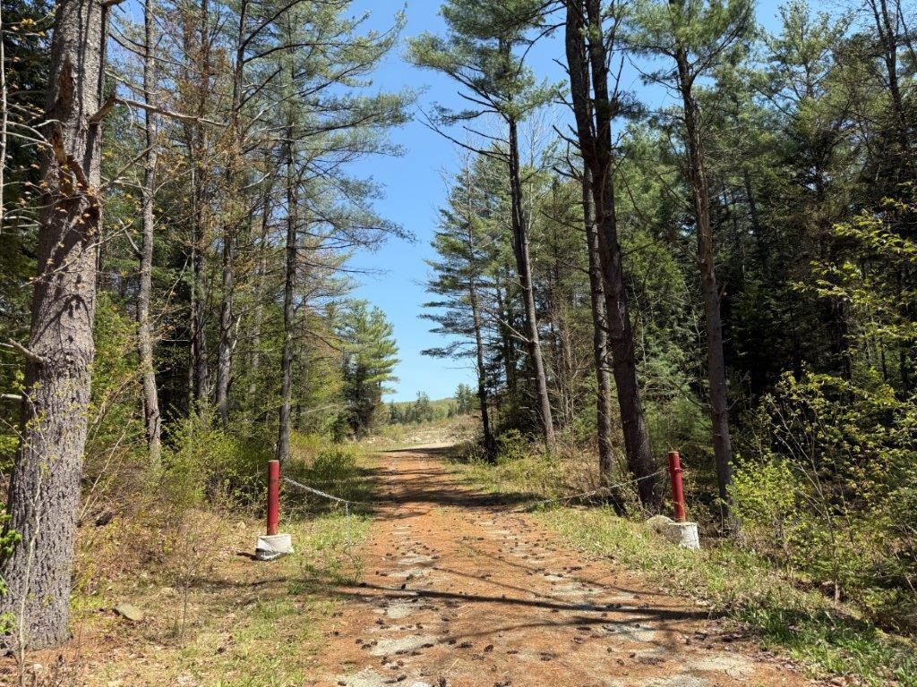 118 Nh Route Canaan, NH 03741 - Photo 54 of 57