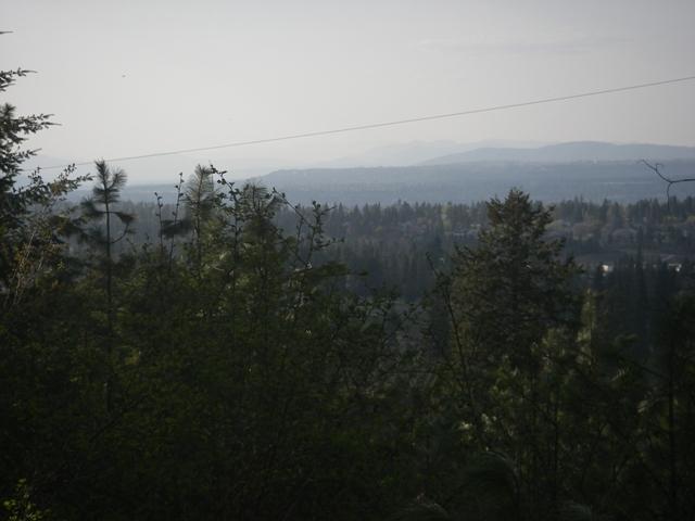 0 East Corkery Road Spokane, WA 99223 - Photo 3 of 8