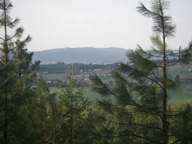 0 East Corkery Road Spokane, WA 99223 - Photo 4 of 8