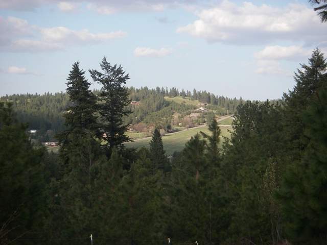0 East Corkery Road Spokane, WA 99223 - Photo 5 of 8