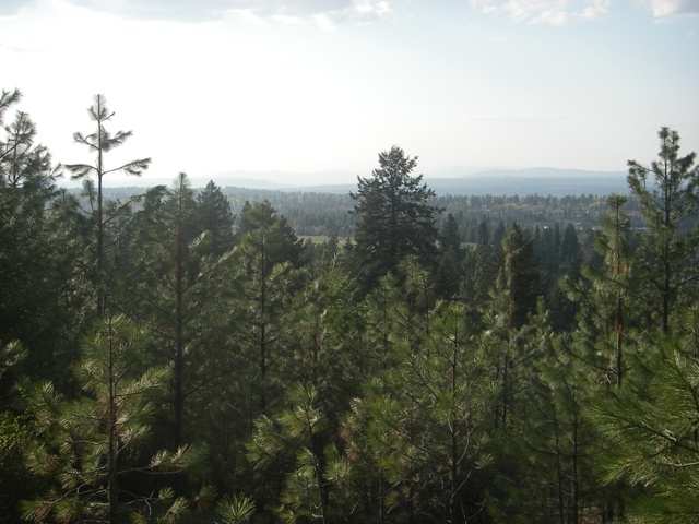 0 East Corkery Road Spokane, WA 99223 - Photo 6 of 8