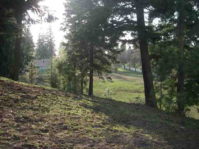 0 East Corkery Road Spokane, WA 99223 - Photo 7 of 8