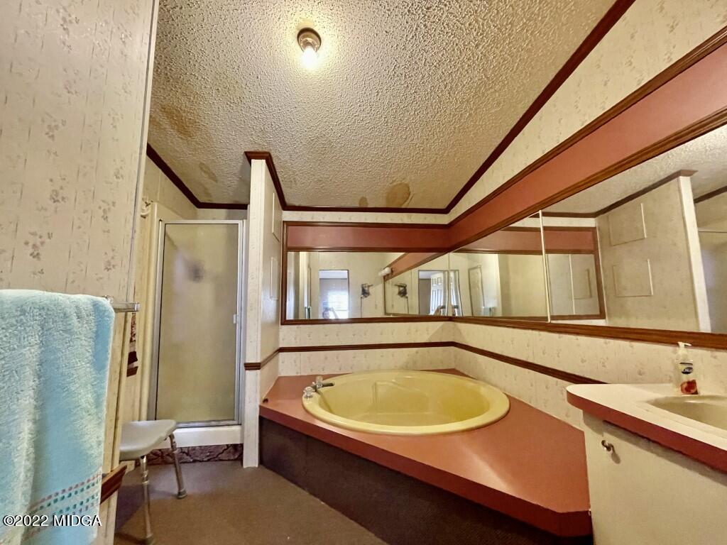 3310 Jackson Road Roberta, GA 31078 - Photo 11 of 26 a bathroom with a sink and a bathtub