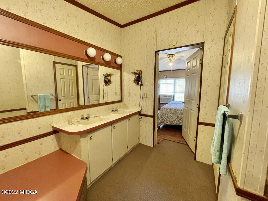 3310 Jackson Road Roberta, GA 31078 - Photo 12 of 26 a en suite bathroom with a double vanity sink and a mirror