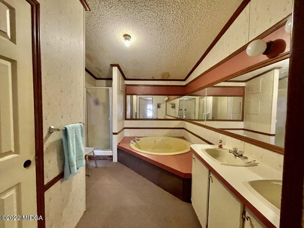 3310 Jackson Road Roberta, GA 31078 - Photo 13 of 26 a bathroom with a tub a sink and a large mirror