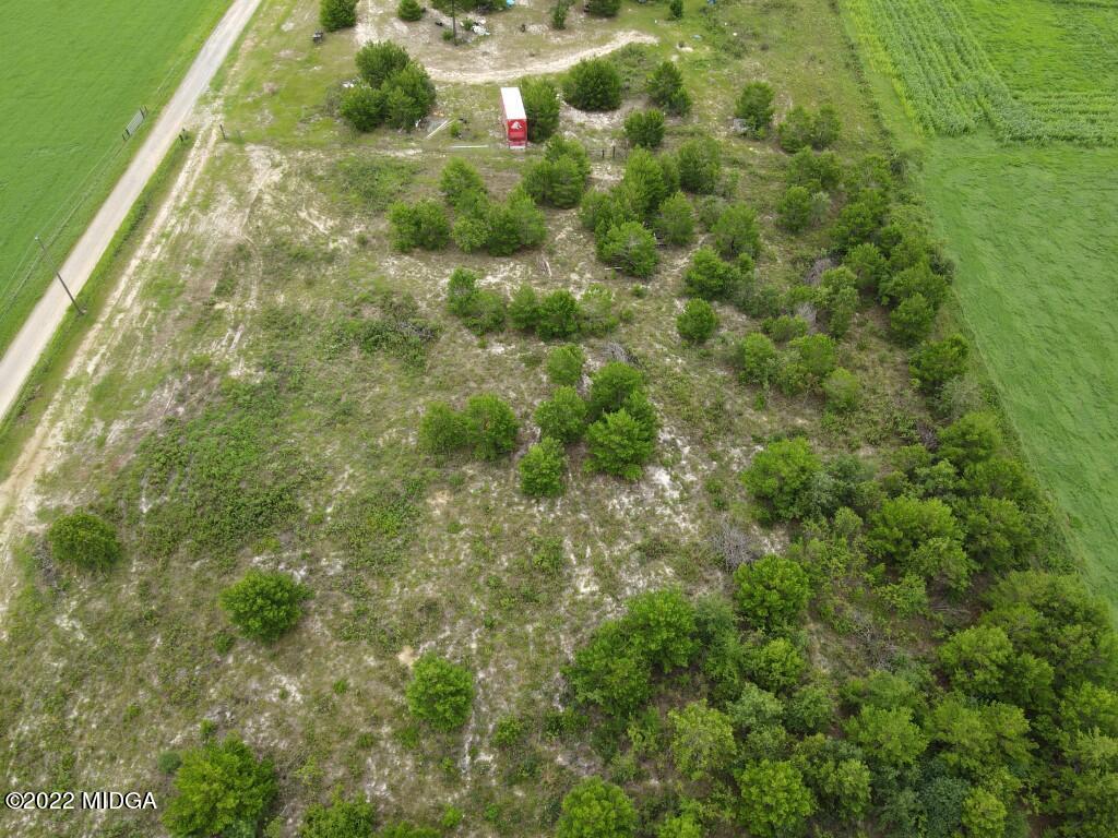 3310 Jackson Road Roberta, GA 31078 - Photo 19 of 26 a view of a forest