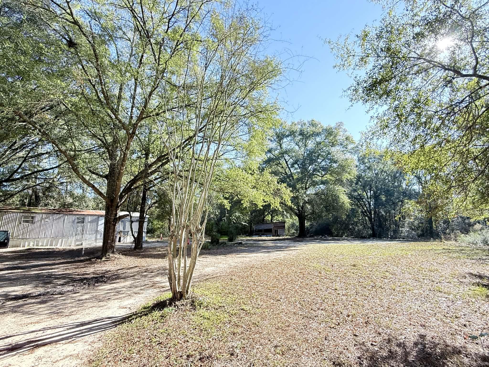 5343 Highway 153 Samson, AL 36477 - Photo 11 of 12 a view of outdoor space with trees
