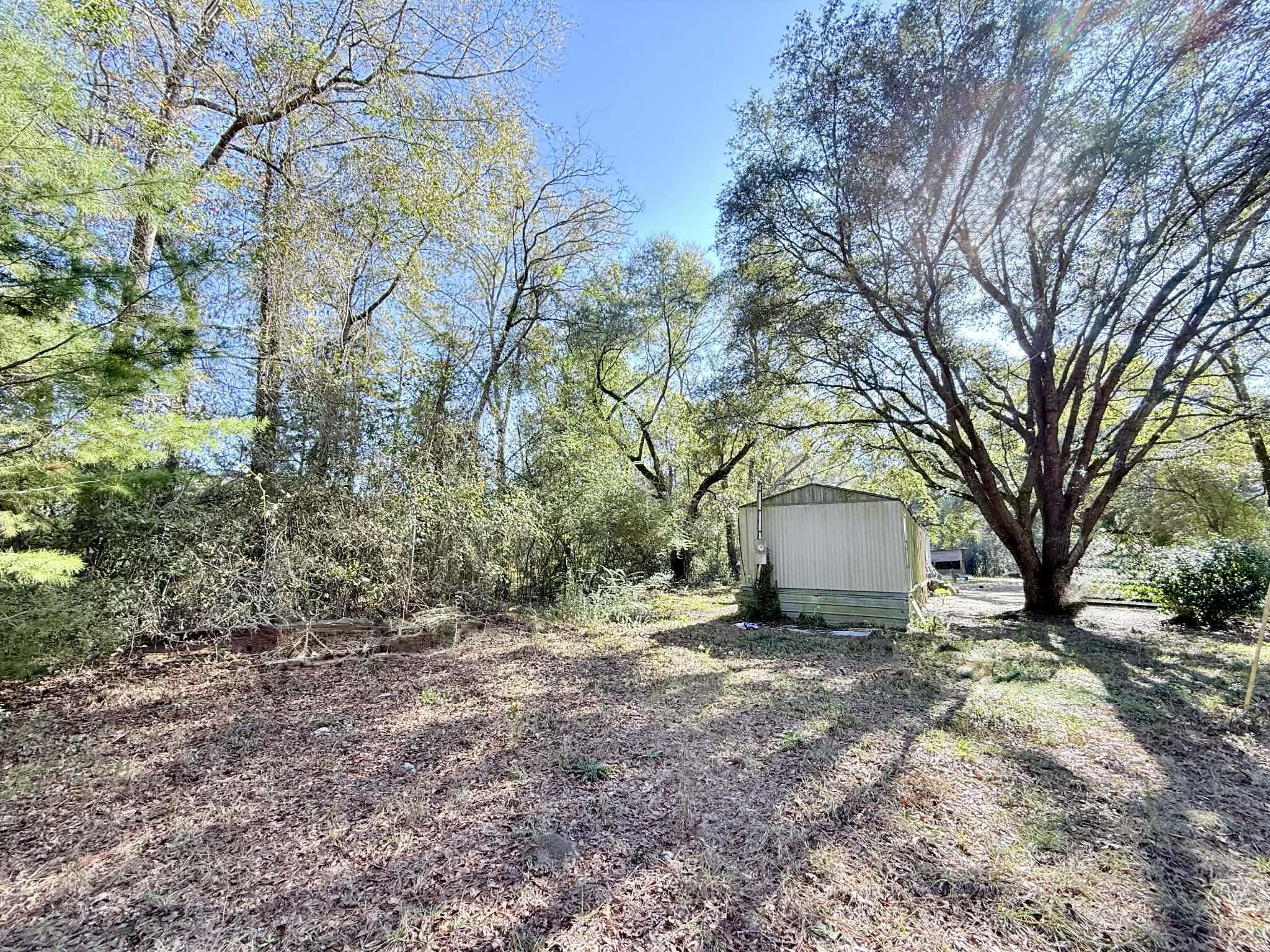 5343 Highway 153 Samson, AL 36477 - Photo 12 of 12 a view of a yard with a tree