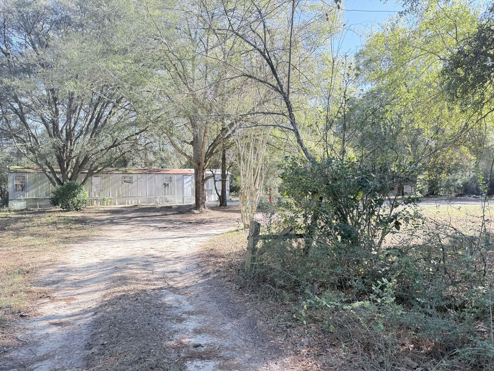5343 Highway 153 Samson, AL 36477 - Photo 2 of 12 a view of road with large trees