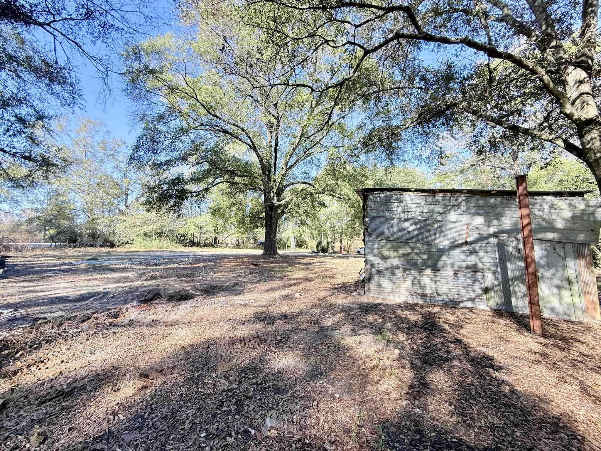 5343 Highway 153 Samson, AL 36477 - Photo 6 of 12 a view of dirt yard with a tree