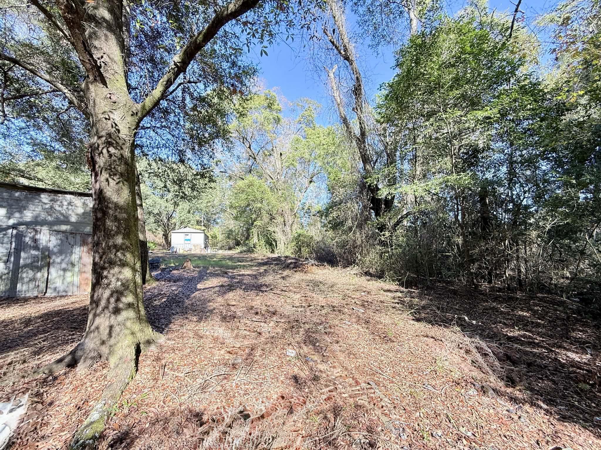 5343 Highway 153 Samson, AL 36477 - Photo 7 of 12 a view of a yard with plants and trees