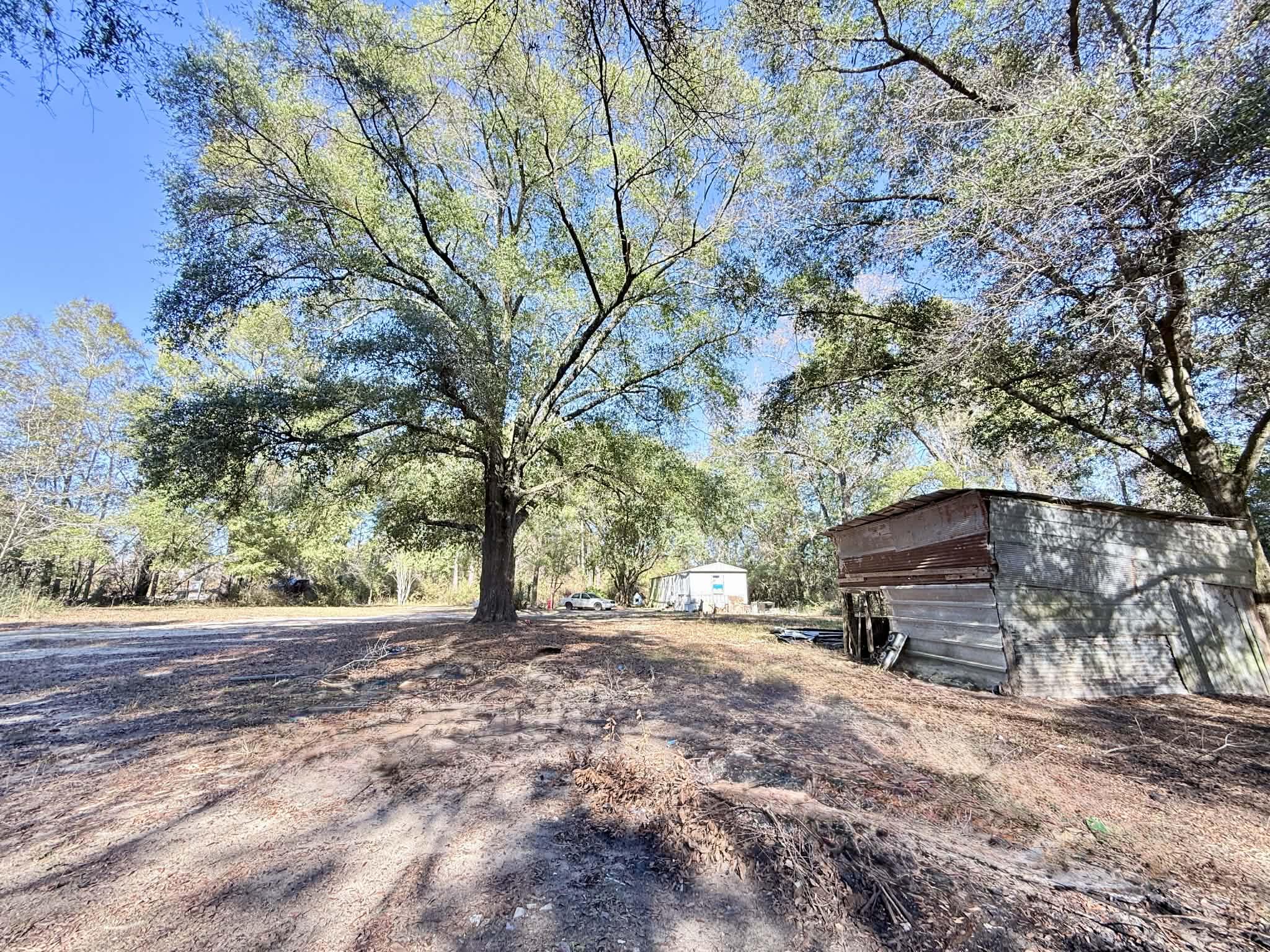 5343 Highway 153 Samson, AL 36477 - Photo 8 of 12 a view of a yard with an trees