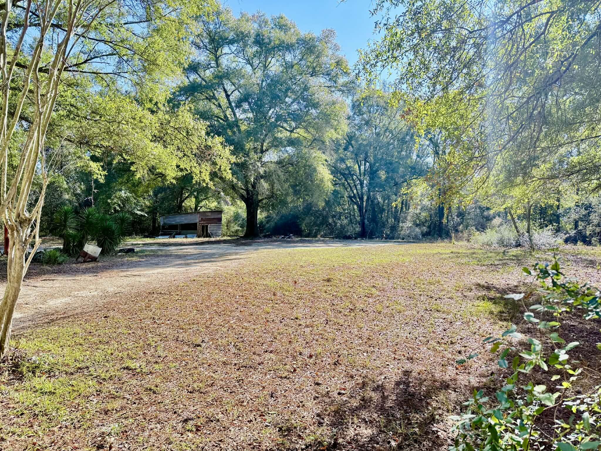 5343 Highway 153 Samson, AL 36477 - Photo 9 of 12 a view of outdoor space with large trees