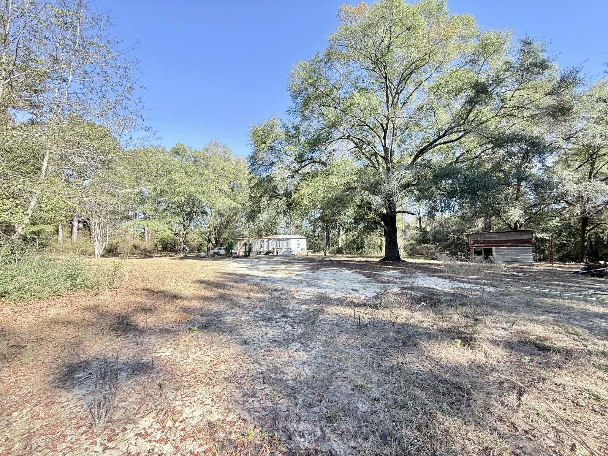 5343 Highway 153 Samson, AL 36477 - Photo 10 of 12 a view of outdoor space with city view